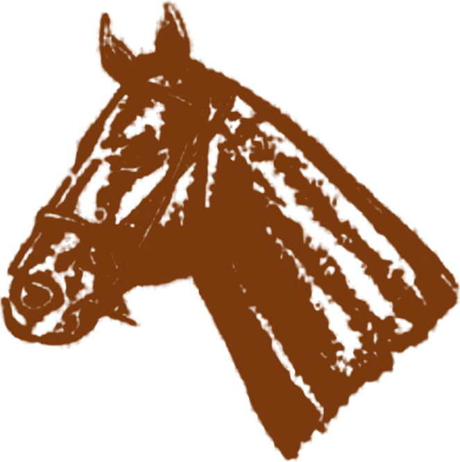 A horse head in profile, facing left